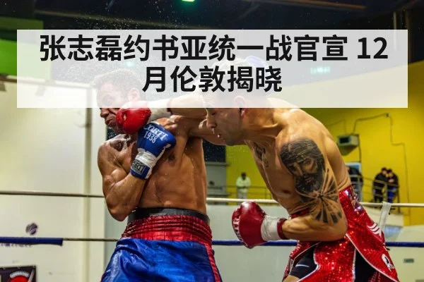 boxing knockout punch