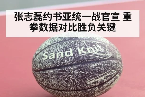 张志磊约书亚统一战官宣 重拳数据对比胜负关键